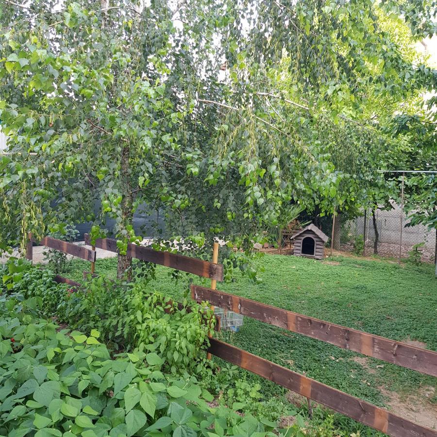 B&B Da Natallia Ronco allʼAdige Dış mekan fotoğraf